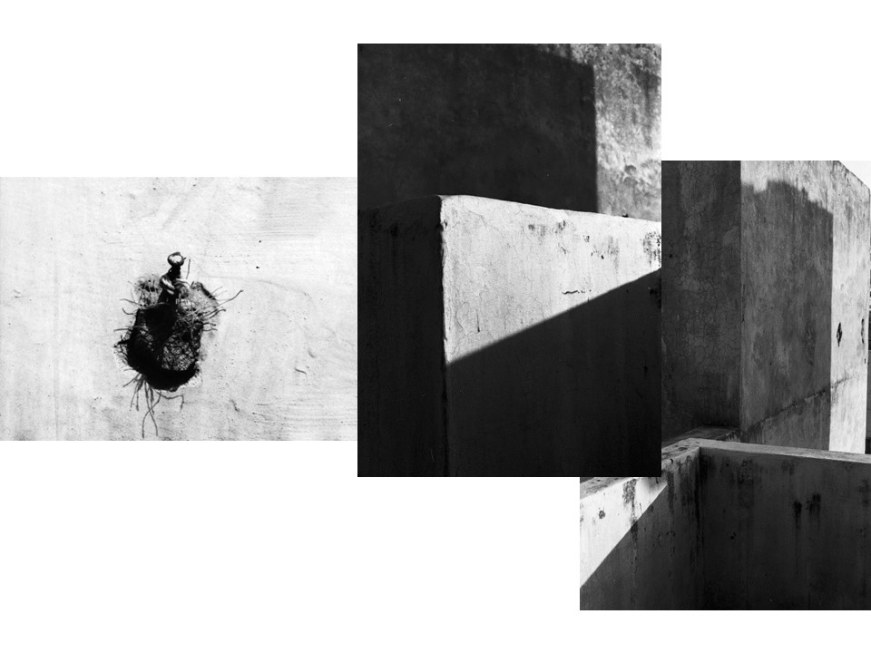 Artistic expression is a dynamic and ever-changing language